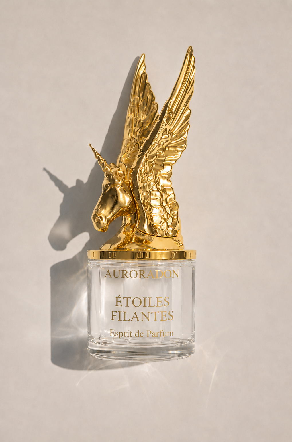 Étoiles Filantes